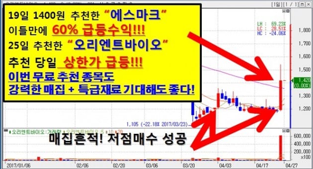 오리엔트바이오 추천 후 상한가 또 급등! 3연속 상한가 축!!