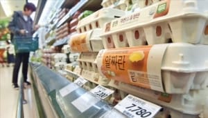 계란값 또 들썩…계란 반찬 언제쯤 마음놓고 먹을까