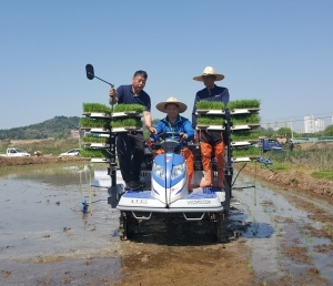 박승원 경기도의회 민주당 대표, 광명에서 모내기 시연