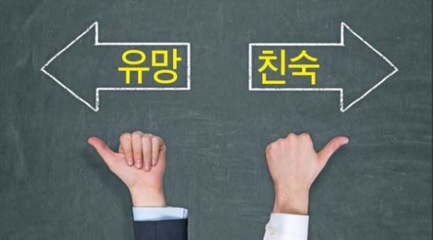 [기업 재무] 유망 업종보다 '친숙한 기업' 공모주가 실속