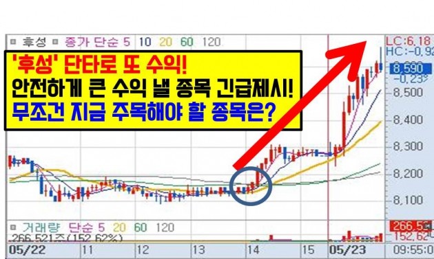 매수 직후 급등! 상한가 직행할 무료 추천 종목은?