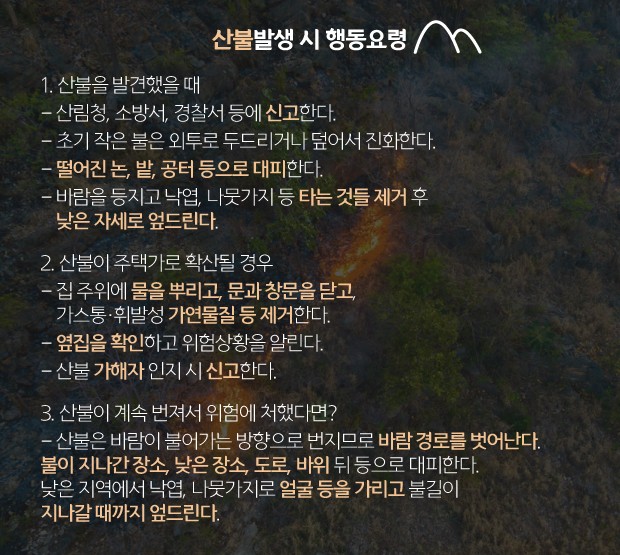 [뉴스래빗] 방재의 날‥강원 산불 '내 일'이라면