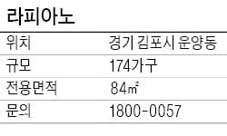 [유망 분양현장] 김포 라피아노, 블록형 단독주택…옥상정원 등 마련