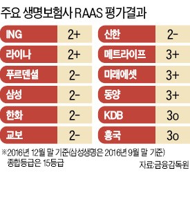 자본 건전성 '빨간불' 켜진 토종 생보사들