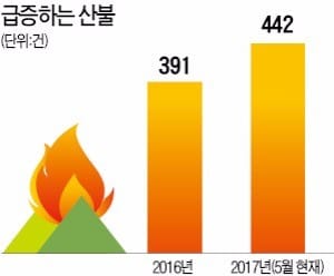 벌써 442건…작년 전체 건수 넘어선 산불 왜?