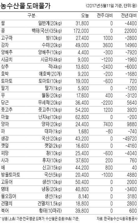 [농수산물 시세] 수박값 한달새 20% 올라