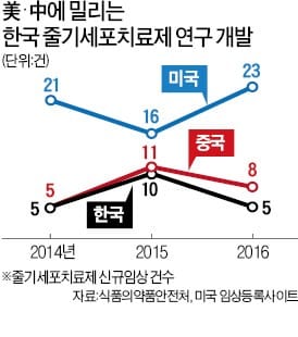 줄기세포 연구…속도내는 미국·중국, 속 썩는 한국