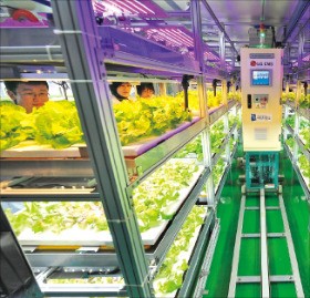 "미래 먹거리는 도시농업으로"…미국 스타트업 속속 진출