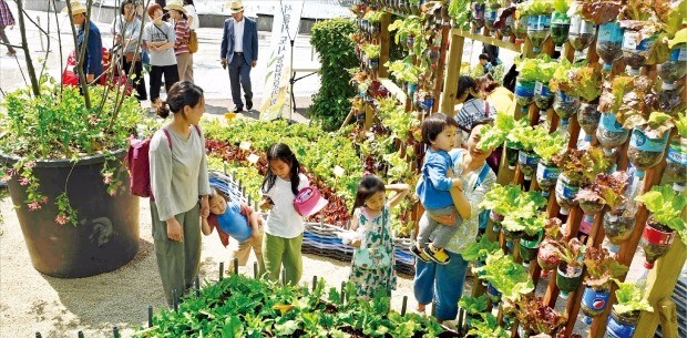 “엄마, 우리집에도 상추 심어요”