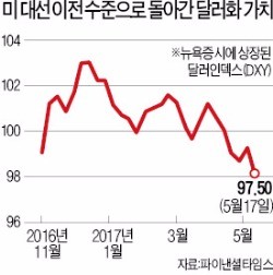 금융시장 '트럼프 탄핵 리스크'