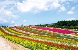 [여행 브리프] 루프톱 바에서 사랑 고백하세요 등