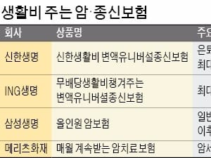  최대 20년간 생활비 주는 종신·암보험 인기