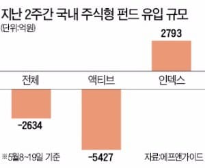 주식형펀드 환매 여전하지만…인덱스펀드엔 자금 유입