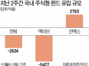 주식형펀드 환매 여전하지만…인덱스펀드엔 자금 유입