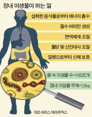 대변의 대변신