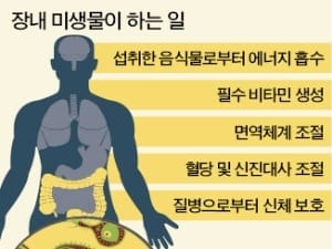 대변의 대변신