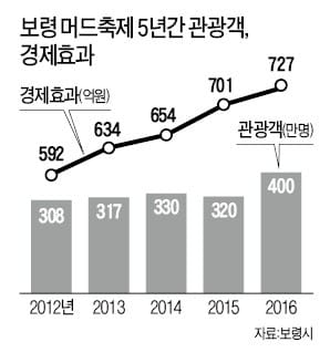 "충남 보령머드축제를 '국가대표 축제'로 만들자"