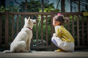 사진 찍을수록 더 예뻐 보이는 우리 아파트 사진 공모전