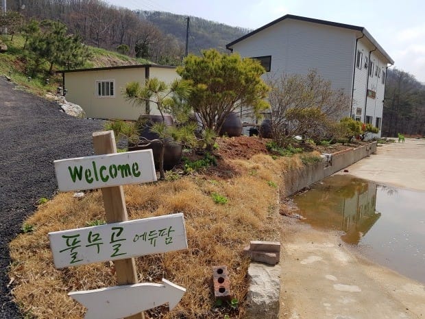 [한경·네이버 FARM] 소 키우는 서른 한살 레게머리 이장님