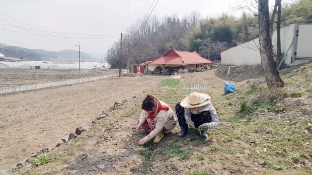 [한경·네이버 FARM] 회사 때려치우고 시골간 '유튜버 서울부부'의 좌충우돌 '귀촌 수다' 