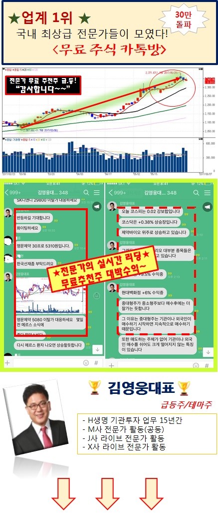 ★개인 투자자 30만명의 선택★