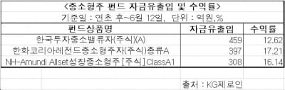 "튼튼 기업 투자가 기본…중소형주 펀드도 대안"