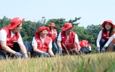 LG전자, ‘친환경 에너지’로 우리 문화유산 가꾼다