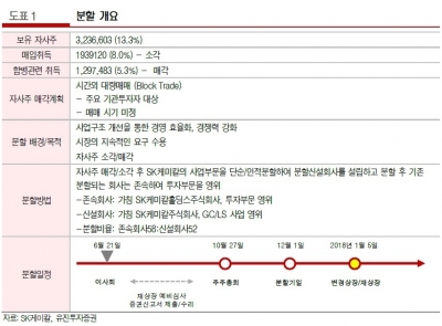 "SK케미칼, 지주사 분할·자사주 소각 '긍정적'…목표가↑"-유진