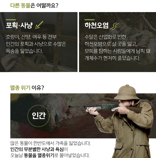 [뉴스래빗] 환경의 날‥멸종위기 1급 동물을 고르시오