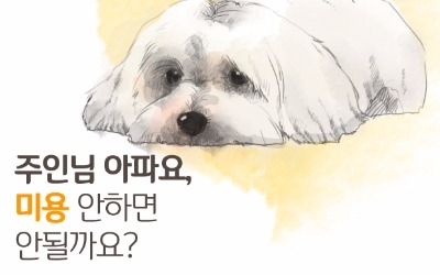  아파요 멍멍‥미용 안하면 안될까요?