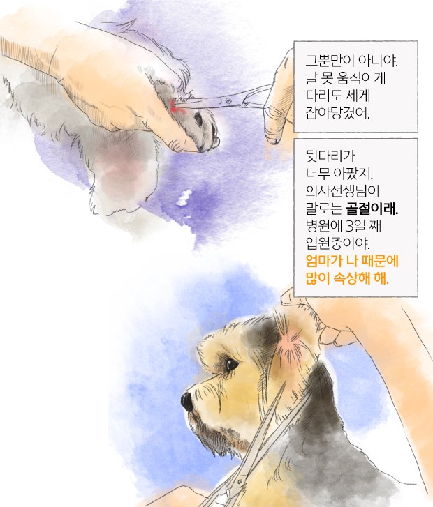 [뉴스래빗] 아파요 멍멍‥미용 안하면 안될까요?