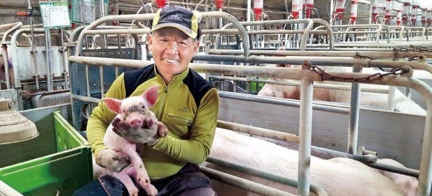 [한경·네이버 FARM]  김건태 비전농장 대표..."연 매출 30억, 홍성의 7000마리 돼지아빠에유~"