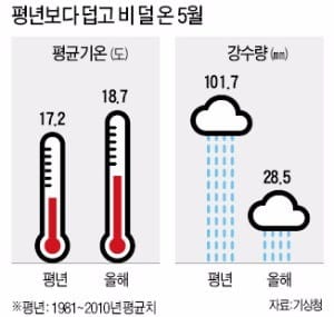 동전 크기 '우박 폭탄'의 습격