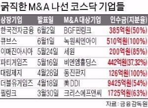 '급'이 다른 M&A로 대접받는 코스닥 기업