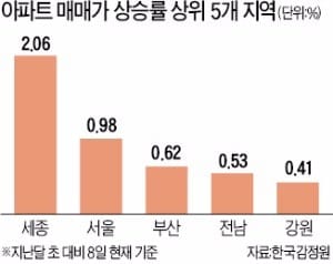 강남3구·부산·세종 '투기과열지구' 지정 가능성