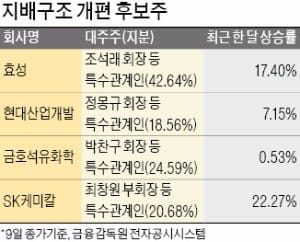 [마켓인사이트] 몸값 치솟는 '지주사 후보주'