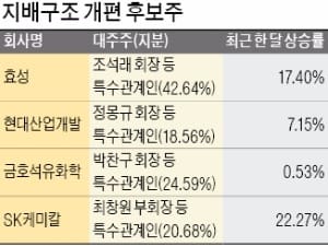  몸값 치솟는 '지주사 후보주'