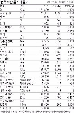 가뭄에 양파값 '들썩'