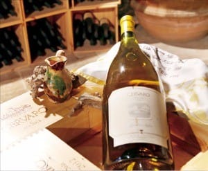 피에로 안티노리의 개인 셀러에 보관된 와인 ‘체르바로’ 