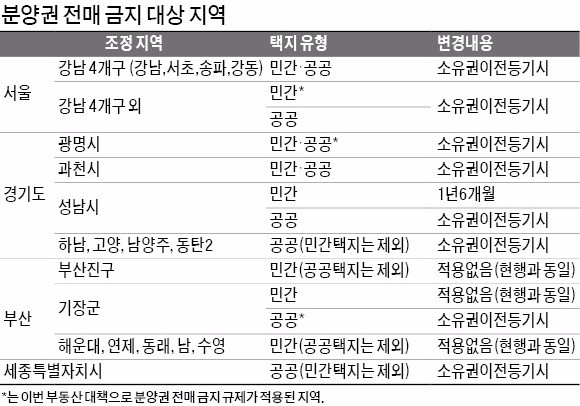 [6·19 부동산 대책]  "주택법 개정해 부산도 분양권 전매제한 할 것"