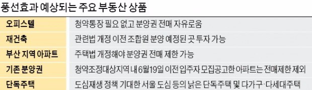 속도 빠른 재건축·기존 분양권 '풍선효과' 우려