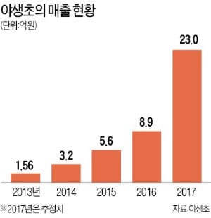 울진 귀촌 공학도가 만든 '저염 김치'…농촌창업 성공 일구다