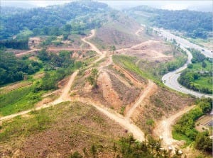 소나무재선충병에 걸려 잘려나간 소나무 숲(왼쪽 사진). 이렇게 잘려진 소나무는 파쇄돼 우드 칩 등으로 재가공된다. 산림청  제공
 