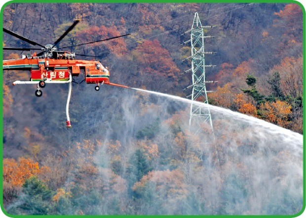 [산림재해 안전지대 만들자] 산을 지켜라