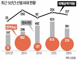 [산림재해 안전지대 만들자] 산을 지켜라