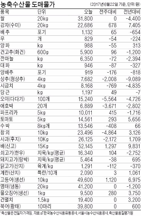 들썩이던 참외값 진정세