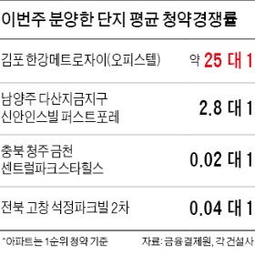 '6·19 대책'에도 수도권 청약 여전히 긴 줄…지방은 미달 속출