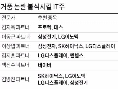 2500돌파할 '선봉장'은 IT주…주가 출렁일 때 바구니에 나눠 담아라