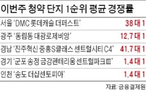 DMC 롯데캐슬 경쟁률 38 대 1…올 '서울 최고'