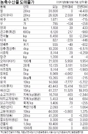 오징어값 1년새 50% 올라